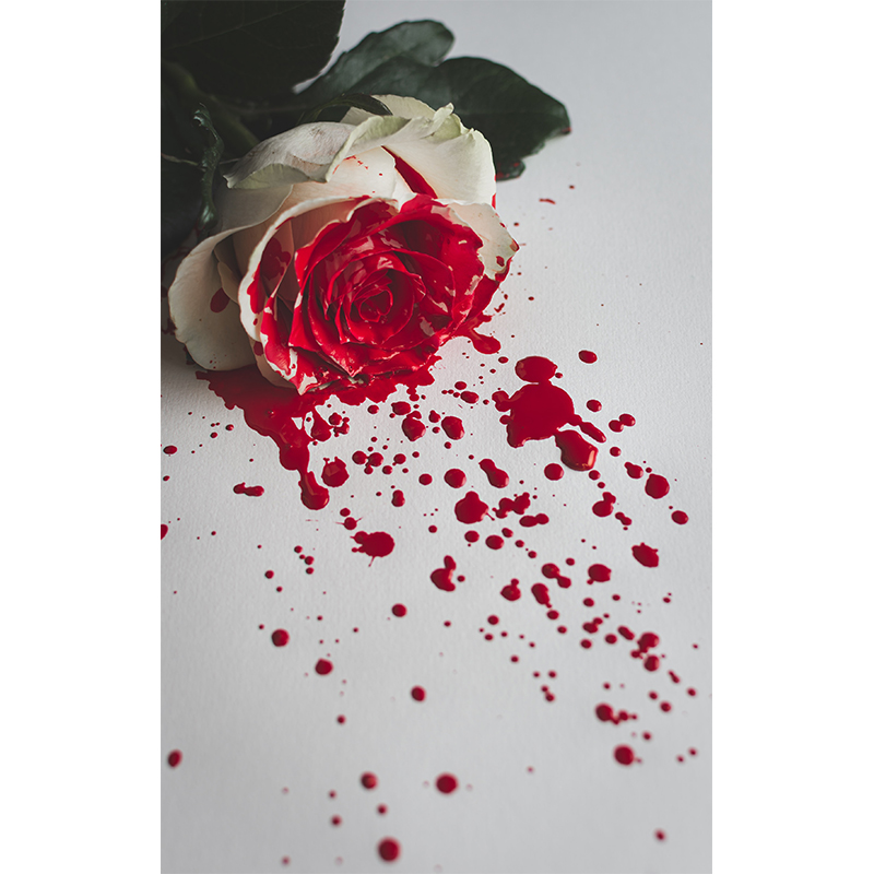 Πίνακας σε καμβά red paint on white rose